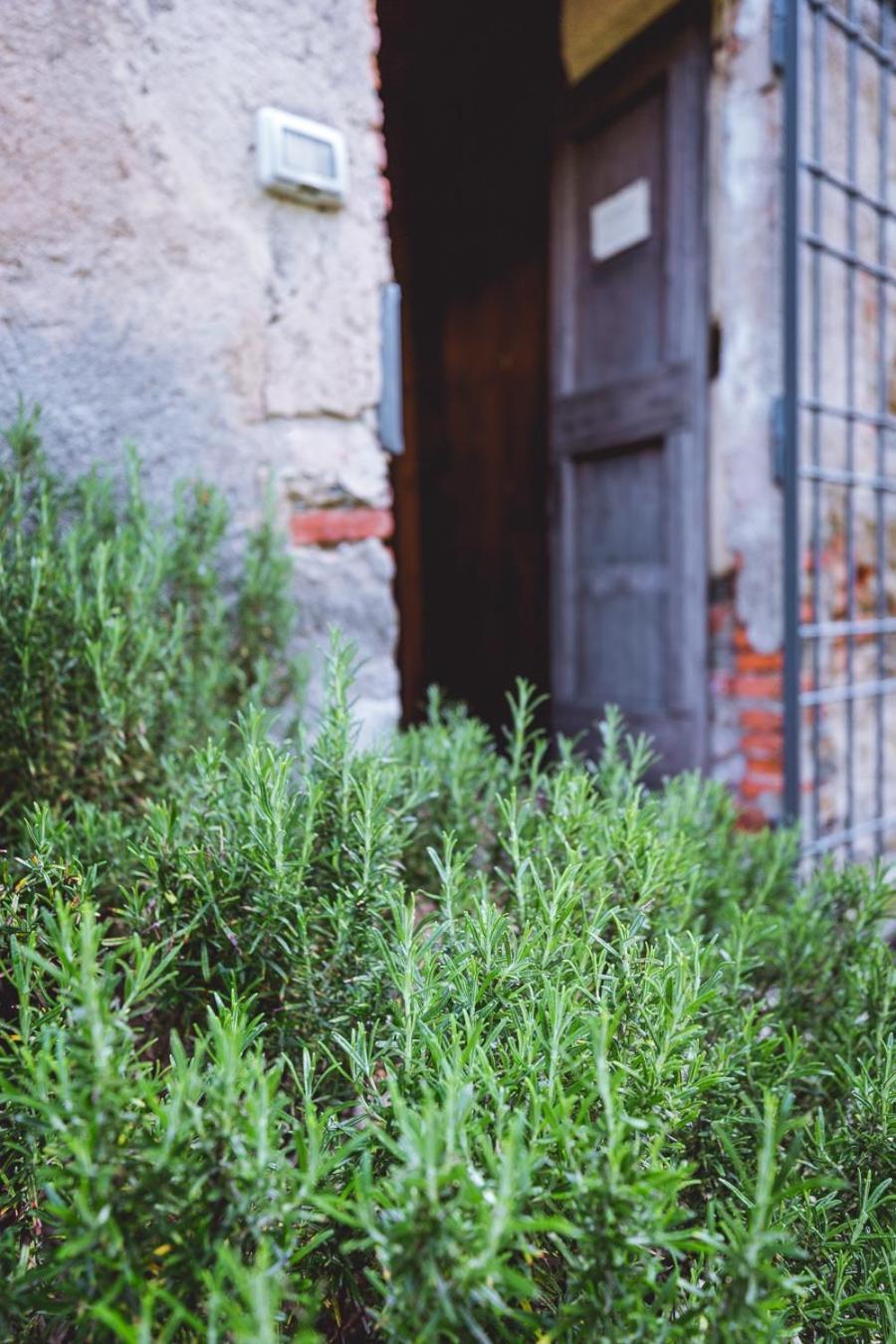 Agriturismo La Costa - Casa Vacanze Rovagnate Zewnętrze zdjęcie