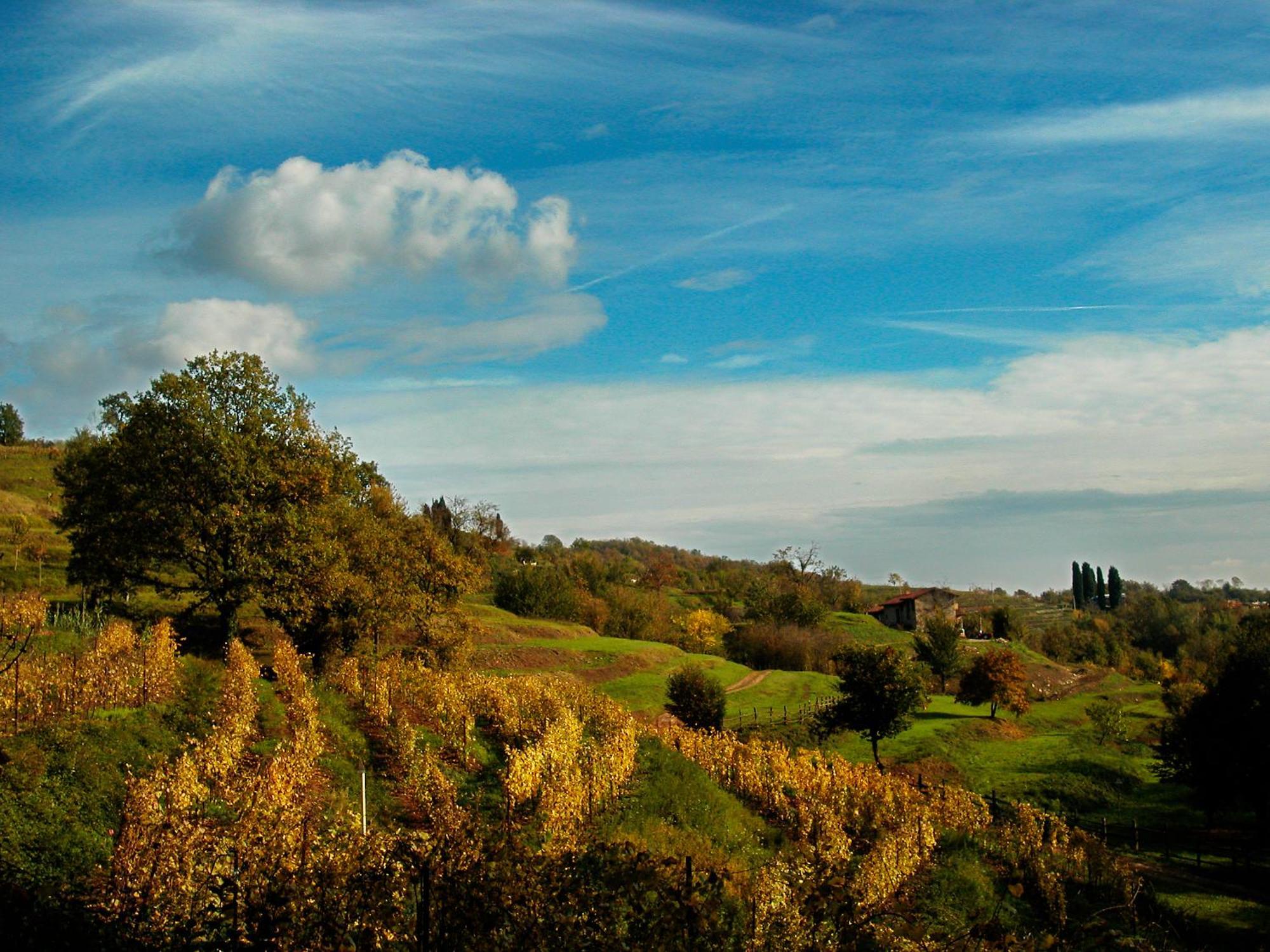 Agriturismo La Costa - Casa Vacanze Rovagnate Zewnętrze zdjęcie