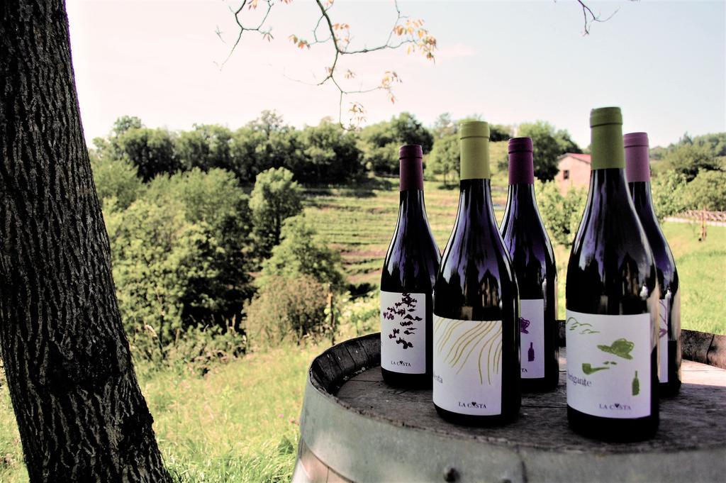 Agriturismo La Costa - Casa Vacanze Rovagnate Zewnętrze zdjęcie