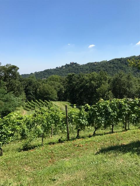 Agriturismo La Costa - Casa Vacanze Rovagnate Zewnętrze zdjęcie