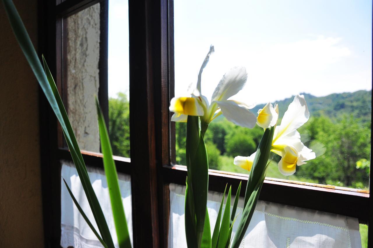 Agriturismo La Costa - Casa Vacanze Rovagnate Zewnętrze zdjęcie