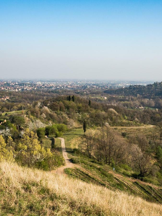 Agriturismo La Costa - Casa Vacanze Rovagnate Zewnętrze zdjęcie
