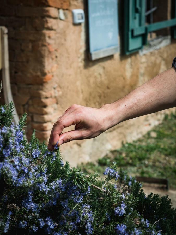 Agriturismo La Costa - Casa Vacanze Rovagnate Zewnętrze zdjęcie